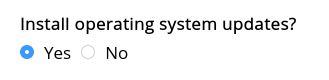 A screenshot of the "install operating system updates" radio buttons