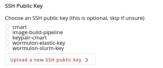A screenshot of the SSH public key options